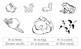 700 Coloring Pages Hibernating Animals Download Free Images