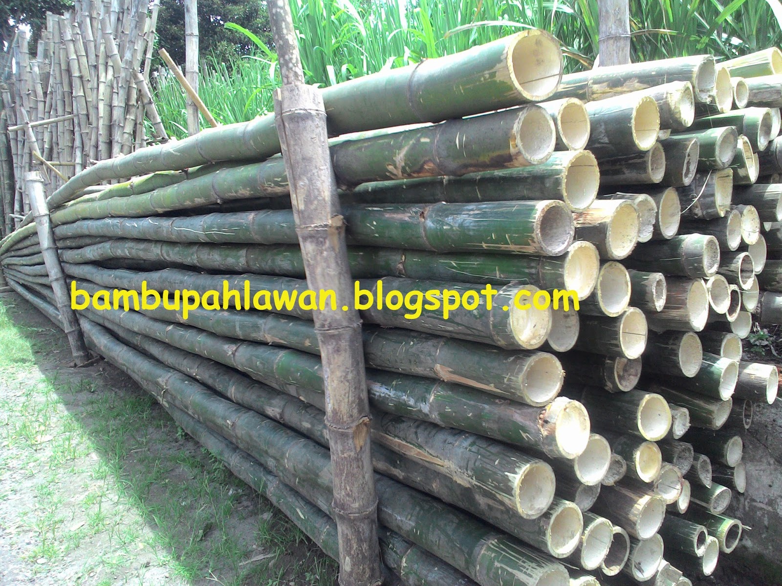  BAMBU  PAHLAWAN jual  bambu  sesek  gedek jakarta depok 