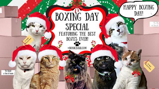 Boxing Day Special Banner ©BionicBasil®