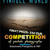 Pinhole World Photographic Competition