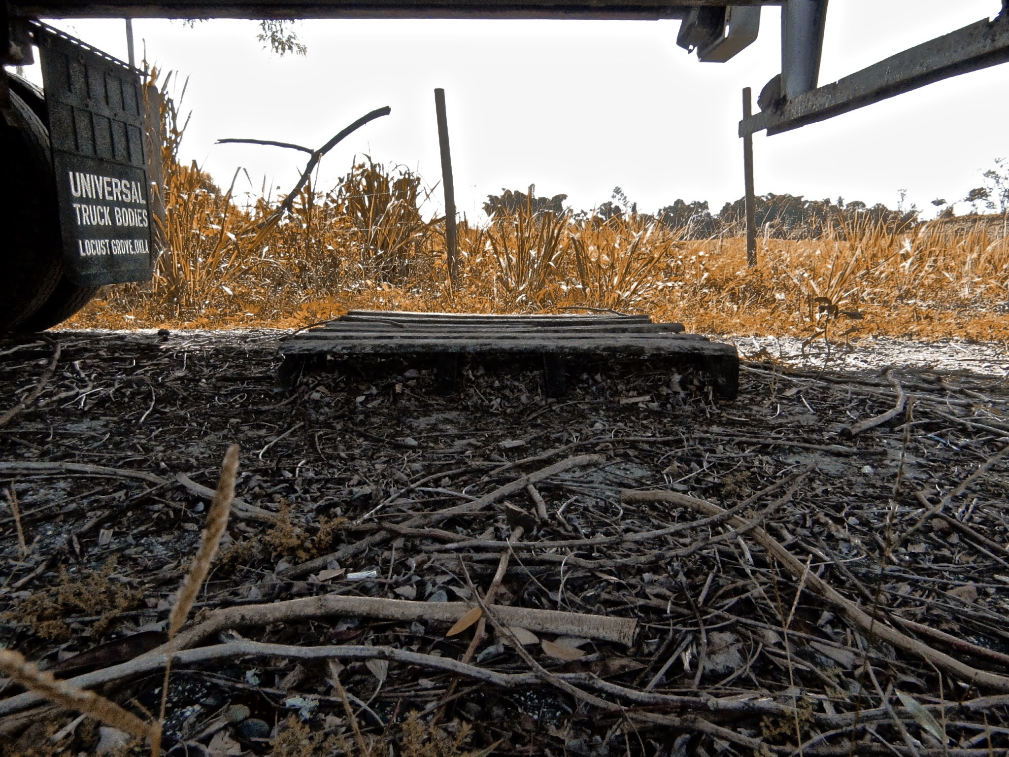 Old wood being one with dirt.