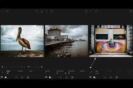 cara-menggunakan-aplikasi-edit-foto-adobe-lightroom