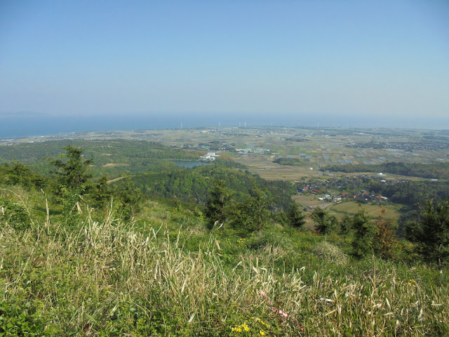 大平山からの眺め