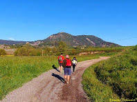 El Turó de la Creu de Gurb des del camí de la Caseta del Vinyets. Autor: Francesc "Caminaire"