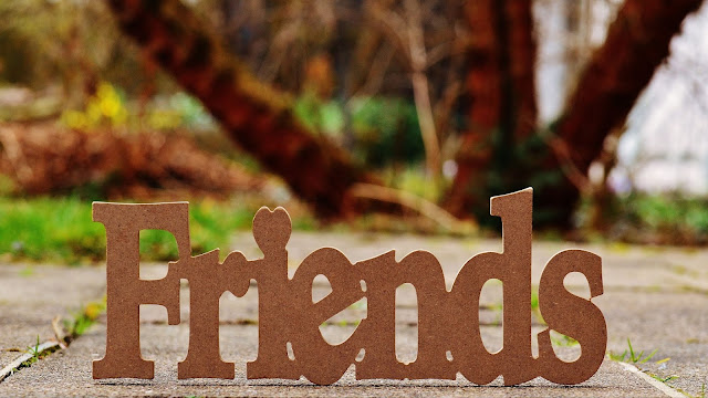 Letras em madeira foram a palavra friends, com fundo de calçada e plantas