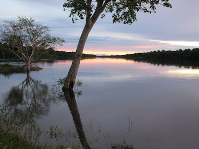 Parque Estadual Igarapés do Juruena | Mato Grosso