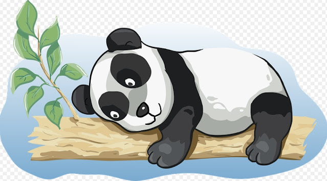 Penyebab Mata Panda yang Perlu Diketahui Dan Solusinya