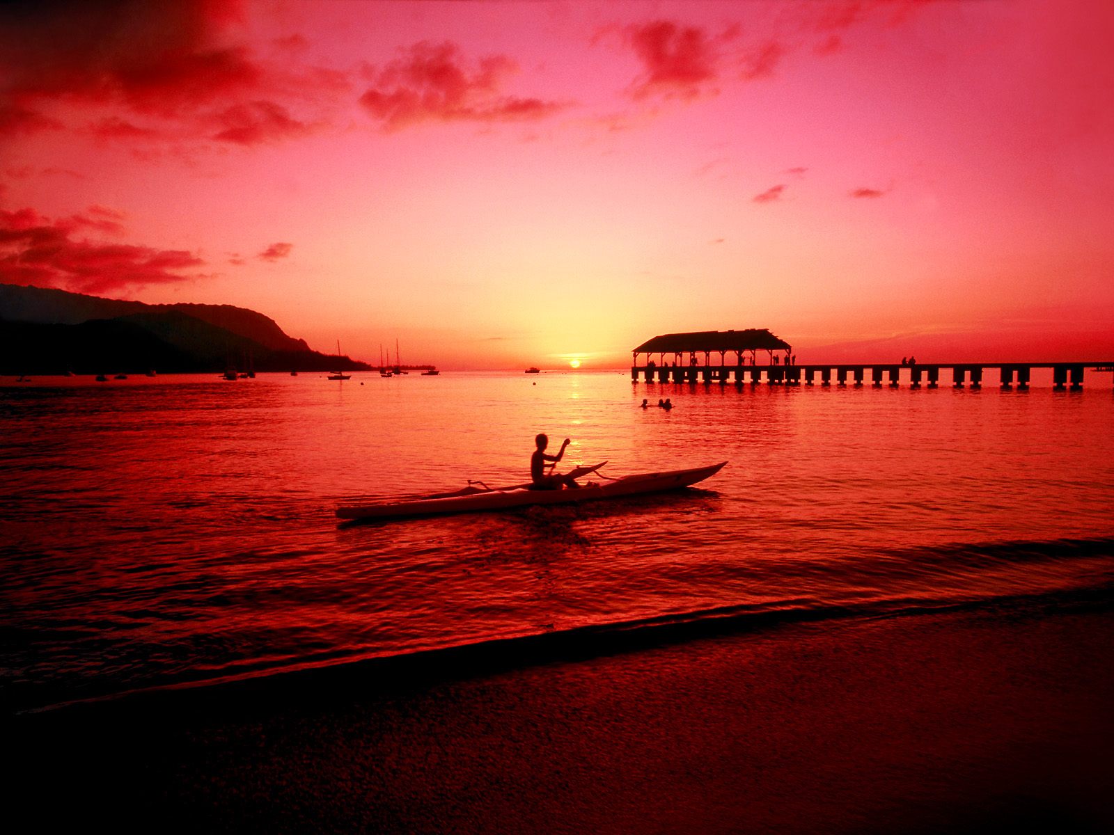 Tropical Beach Background  