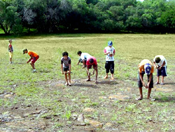 Actividades del Museo “Sin Fronteras” en el Parque Municipal