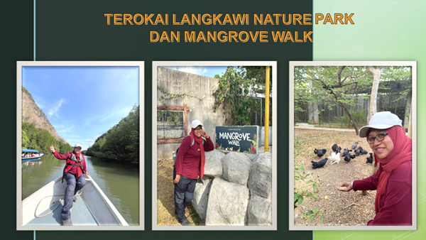 Terokai Langkawi Nature Park dan Mangrove Boardwalk