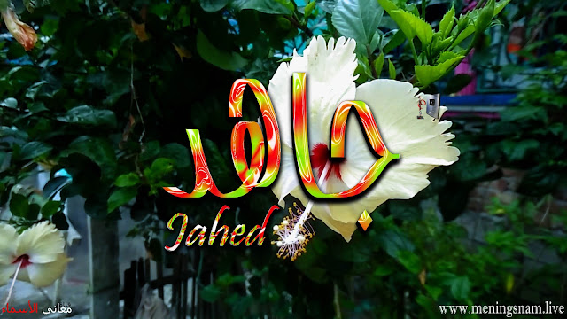 معنى اسم جاهد وصفات حامل هذا الاسم Jahed