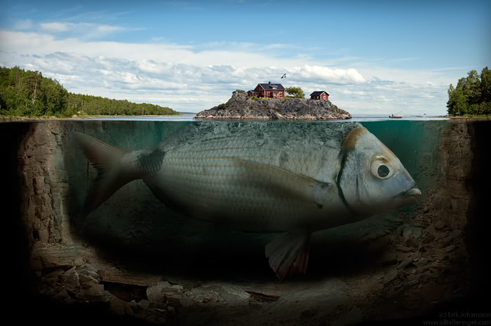 ZONA MANCING Beberapa Ikan Terbesar Di Dunia 