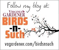 Virginia Gardener, Birds 'n Such