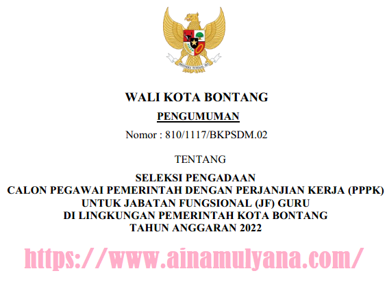 Rincian Penetapan Kebutuhan atau Formasi ASN PPPK Kota Bontang Provinsi Kalimantan Timur Tahun 2022