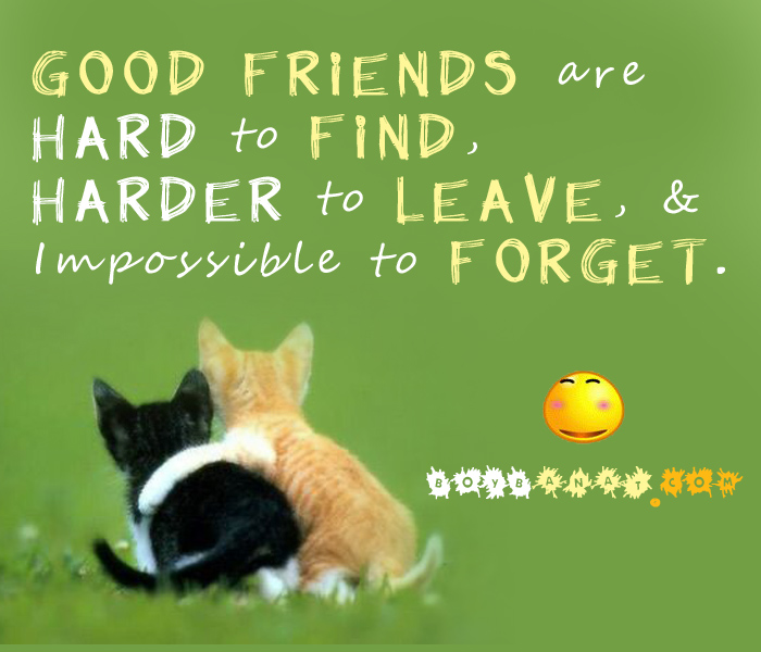 Best friend Quotes. QuotesGram