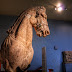 ΣΤΟ ΒΡΕΤΑΝΙΚΟ ΜΟΥΣΕΙΟ! Το άλογο από το Μαυσωλείο της Αλικαρνασσού 