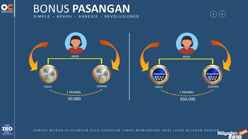 marketing plan ourcitrus