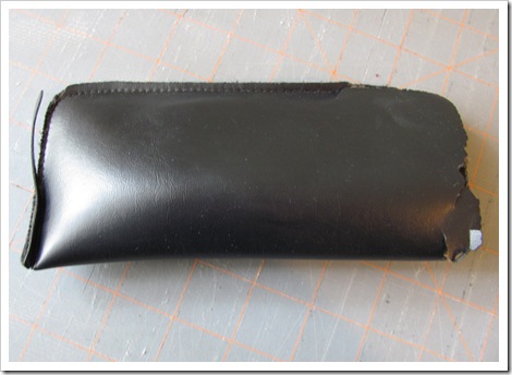 Tamdoll's Eyeglass Case 