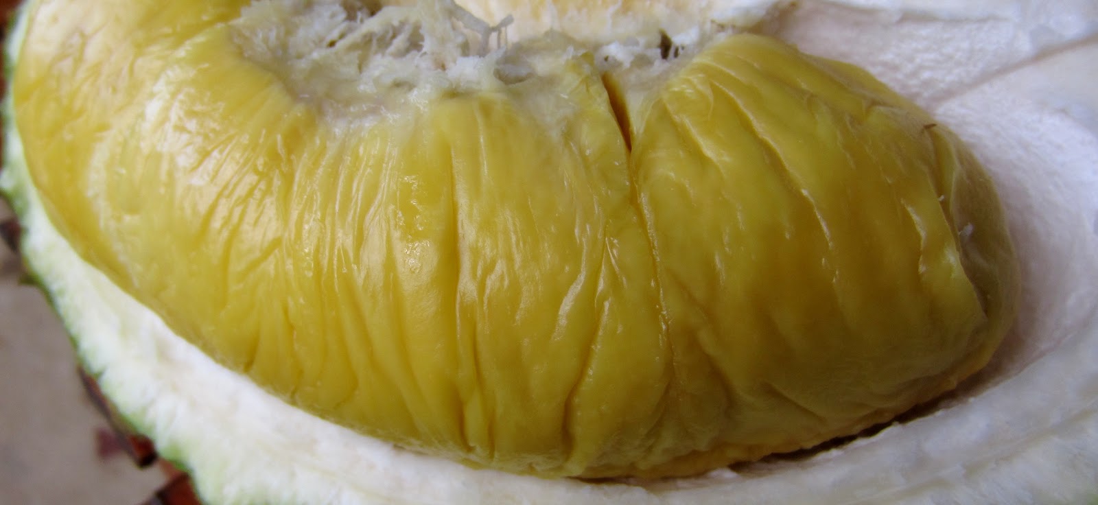 Mesmerizing Malaysia: Musang King Durian from Raub Pahang