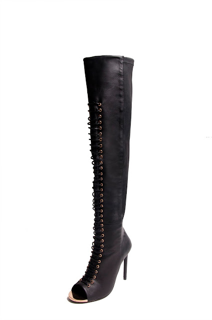 Ivy Kirzhner Crane thigh-high boot