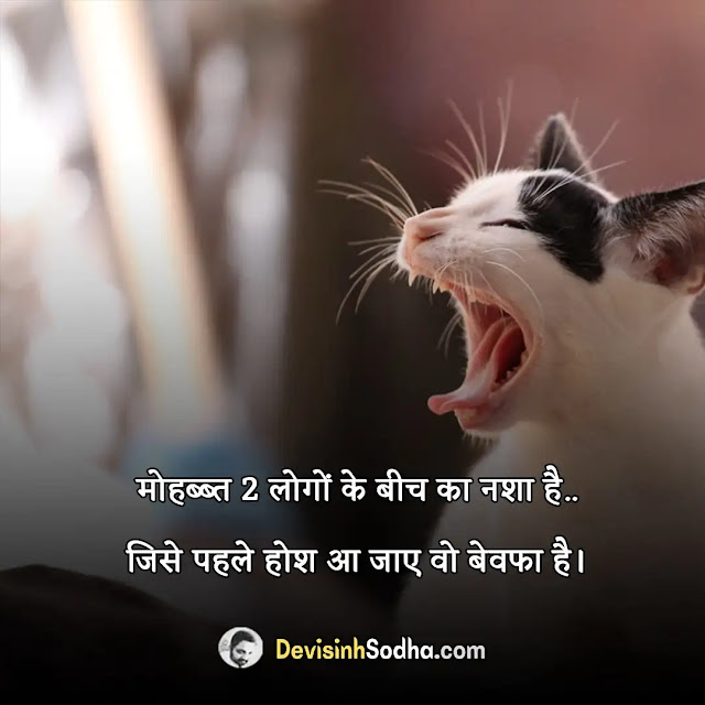 funny quotes on life in hindi, funny quotes on life in hindi with images, funny quotes on life in hindi for whatsapp, famous writers quotes on life in hindi, funny quotes on bankers life in hindi, funny quotes on college life in hindi, funny quotes on school life in hindi, funniest quotes about life in hindi, savage hindi captions for instagram, hindi funny captions for instagram for girl