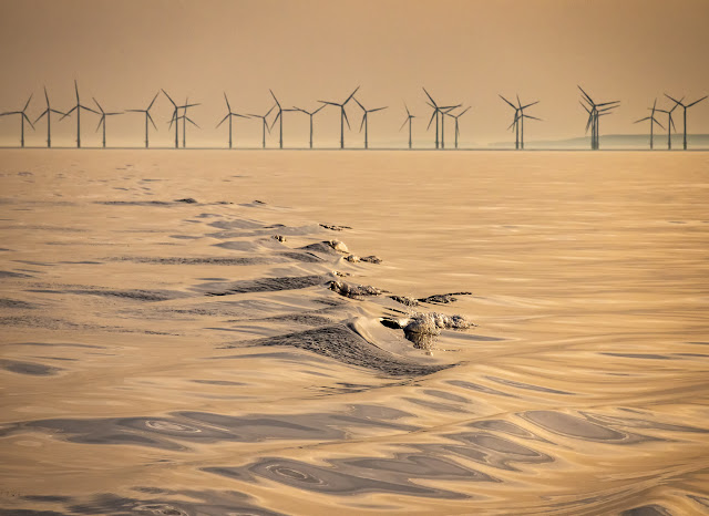 Photo of golden light on the Solway Firth and part of Robin Rigg Wind Farm