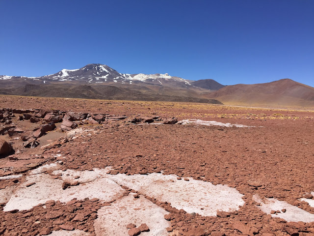 Piedras Rojas Atacama