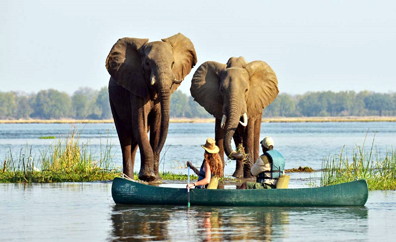 Canoe in Mana Pools National Park