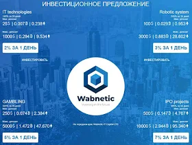 Инвестиционные планы Wabnetic IT Capital LTD