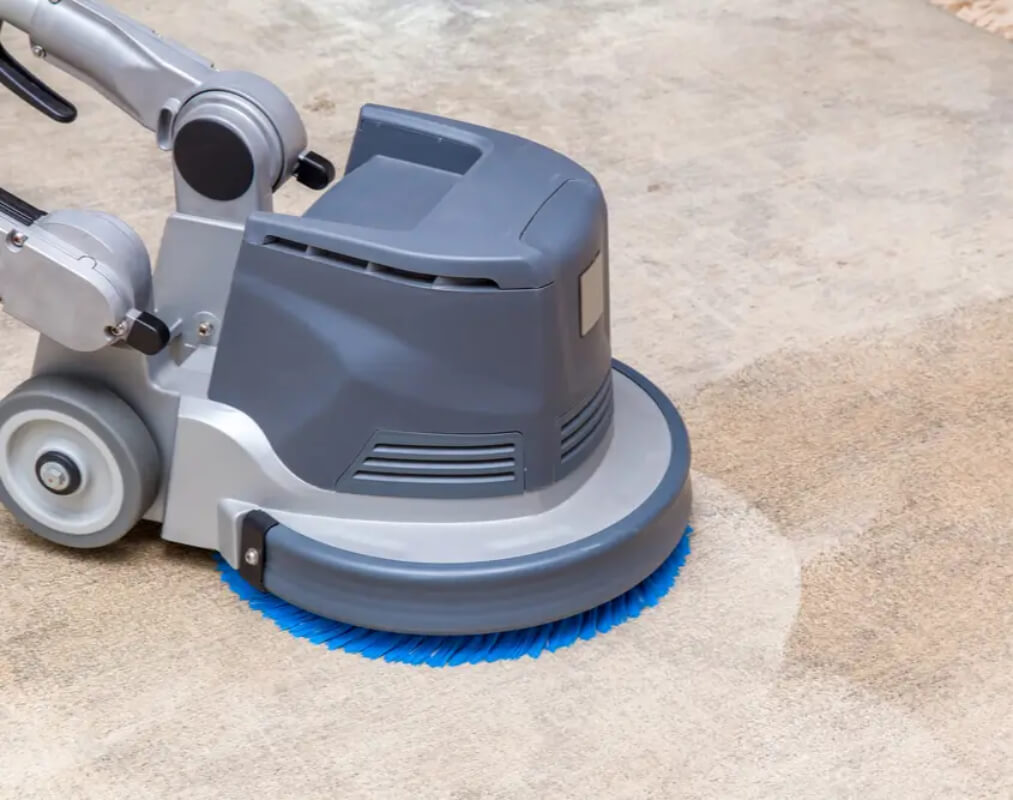 Dry Wet Carpet