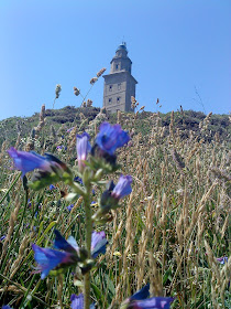 Flower and Tower   Sprint in Tower of Hercules (Corunna, Spain)   by E.V.Pita   http://evpita.blogspot.com/2011/05/flower-and-tower-flores-torre-de.html   Flores + Torre de Hércules  (Primavera en Torre de Hércules, A Coruña)  por E.V.Pita