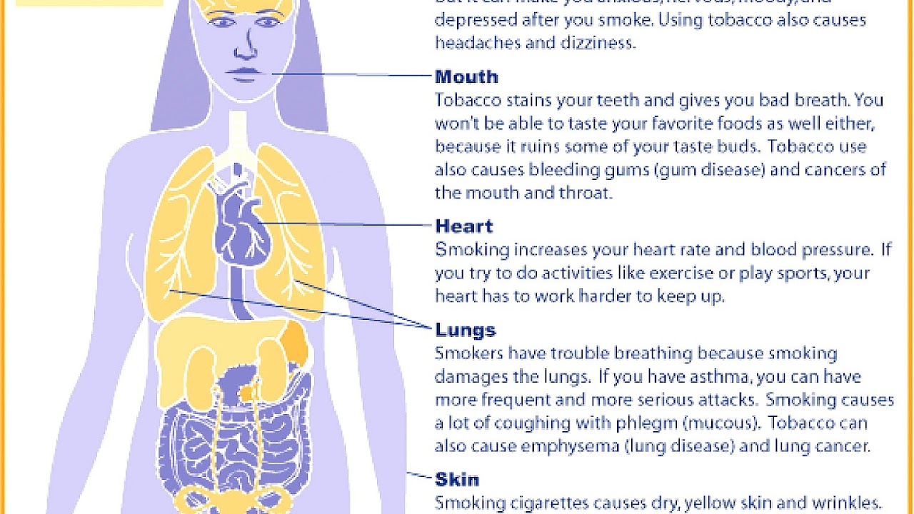 Effects Of Anxiety On The Body