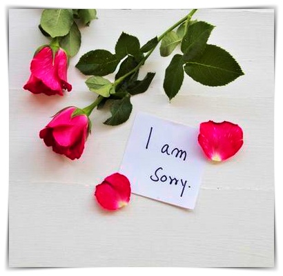 Sweeten the Apology: Using Sorry Messages & Apology Quotes for Him to Show You Care