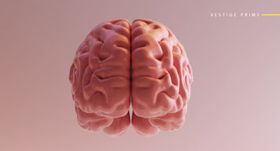 vestige metamind in hindi,vestige metamind benefits in hindi,vestige metamind price in india, metamind vestige uses in hindi,
