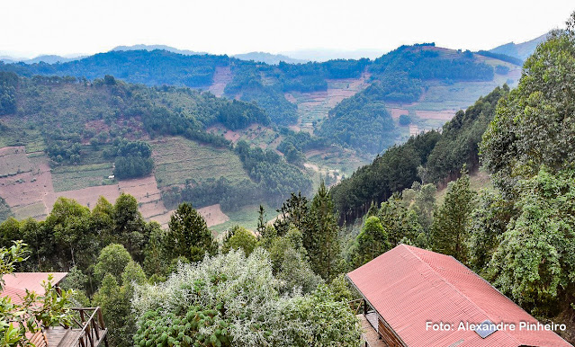 Bakiga Lodge, hospedagem no Parque Bwindi, Uganda