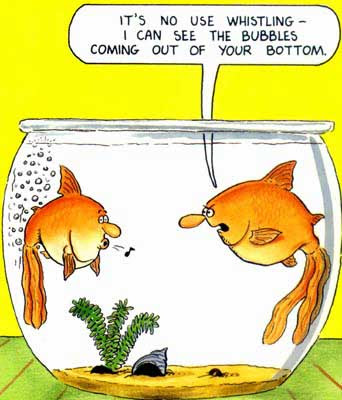 colorful cartoon fishes. cartoon fishes. Fish Jokes amp