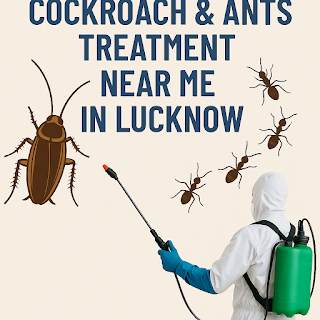 Looking for fast, reliable cockroach & ants treatment near me in Lucknow? Discover expert pest control solutions, pricing, and tips from Admaira Pest Control.