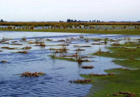 RESERVA NATURAL OTAMENDI