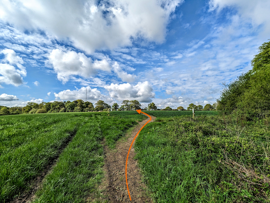 Continue across the field, still on Hatfield footpath 84