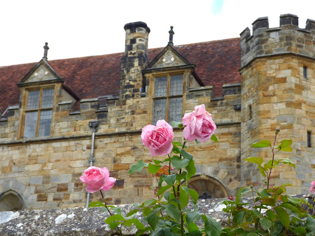A pink rose in front of part of the building of Penshurst Place in Kent