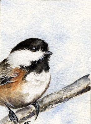 watercolour chickadee painting