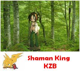 Shaman King KZB