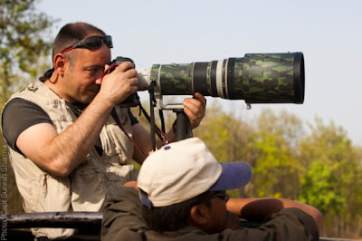 Wildlife Photographer