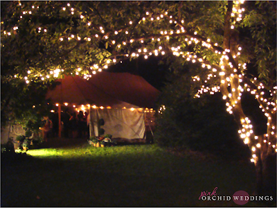  a tree that guests walked under before reaching the reception tent