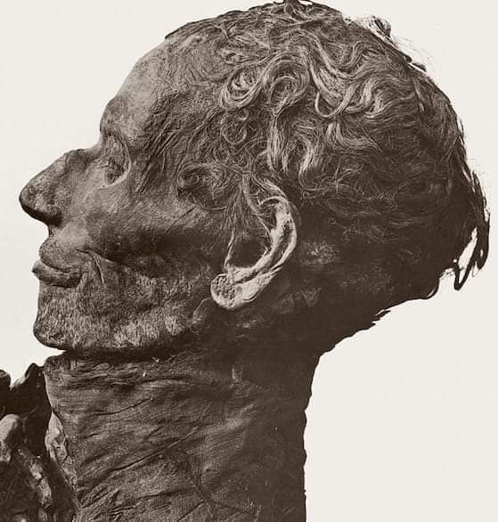 Mummy of Yuya, Tutankhamun's great-grandfather