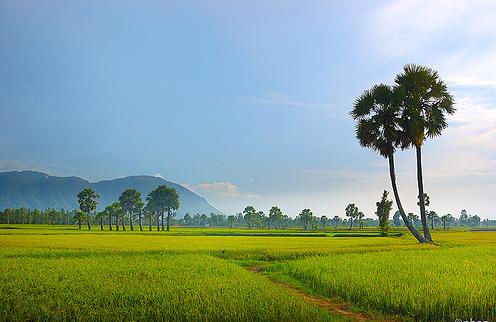 địa điểm du lịch An Giang