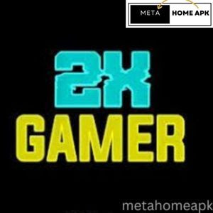 2X Gamer Injector