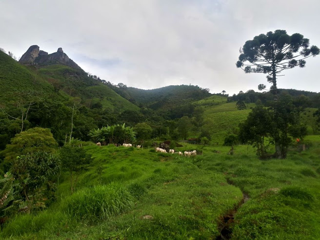 Pedra Selada, trilha e escalada