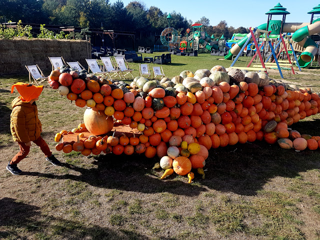 Deli Park Rosnówko Trzebaw - Poznań - atrakcje dla dzieci w Wielkopolsce - rodzinny park rozrywki - Hotel Delicjusz - podróże z dzieckiem - Festiwal Dyni - Karol Okrasa - park miniatur - park owadów  - mini zoo - park linowy