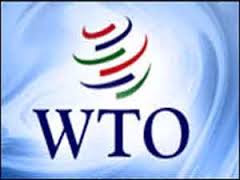    آثار تطبيق اتفاقيات المنظمة العالمية للتجارة على صناعة الأدوية - مكانة مجمع صيدال في صناعة الأدوية بالجزائر - The effects of the application of the WTO agreements on medicines - industry niche Saidal compound in the pharmaceutical industry in Algeria -